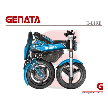 Storage Battery EEC Folding Electric Bicycle (GM890E)