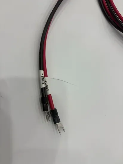 Custom Power Exchange Cabinet Wiring Harness Assembly
