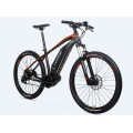 Customized 1000W Mid Drive Ebike