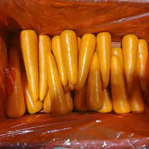 High Quality Dried Carrot in Bulk Packaging