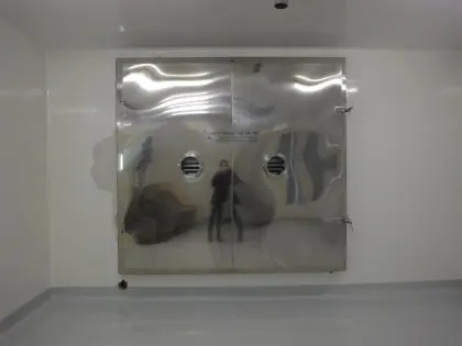 sea food microwave vacuum drying machine