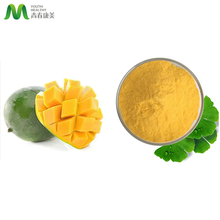 Natural Mango Fruit Juice Powder