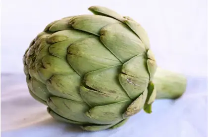 Artichoke leaf supplement cynarin artichoke extract