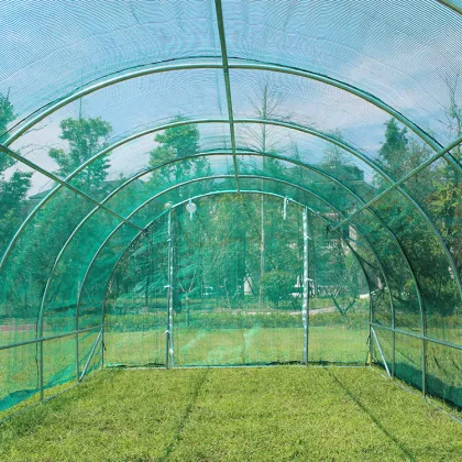 Affordable Greenhouse Aluminum Flower House