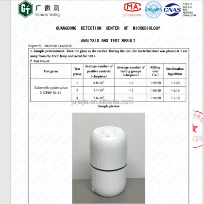 Pacifier UV Sterilizer - Portable UV Sanitizer for Baby Soothers