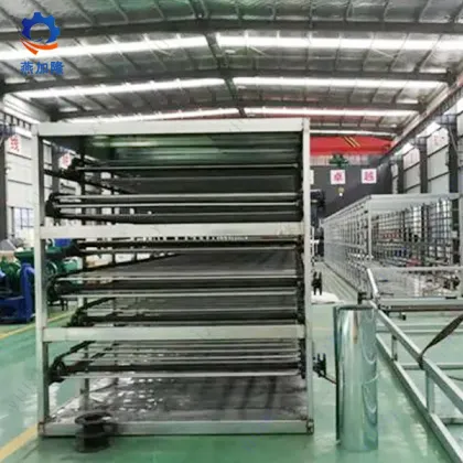 Solo garlic Mesh Belt Drying Machine