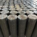 Electro galvanized Welded Wire Net