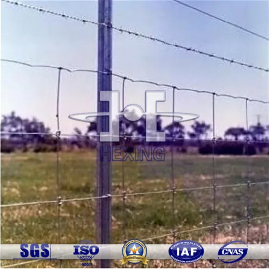 Hot Dipped Galvanized Horse/Cattle Enclosure Grassland Field Fence