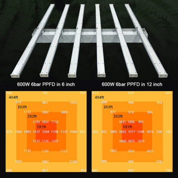 Samsung Board LED wachsen Licht für den australischen Standard