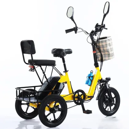 2025 New 14-inch Folding Electric Power Tricycle 48V Lithium Manned Electric Tricycle