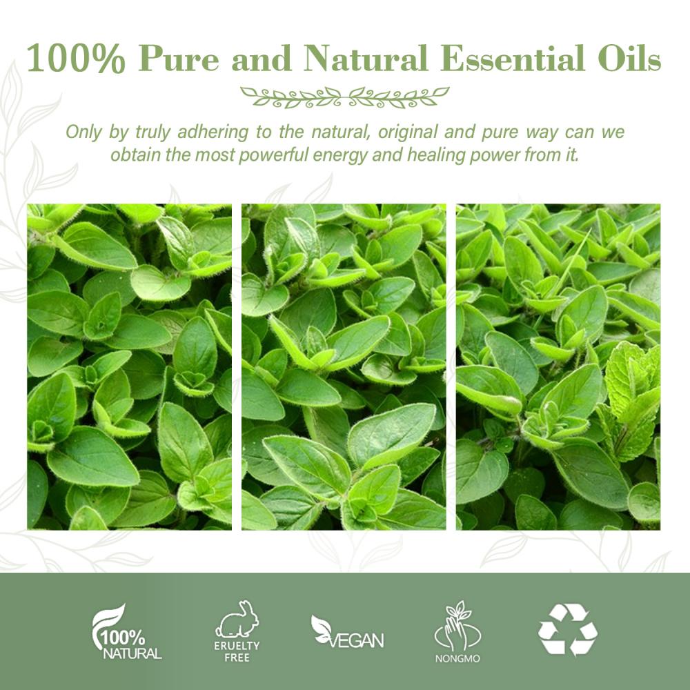 Natural Oregano Oil Bulk Wild Oregano Oil Price Feed Additive Oil Of Oregano