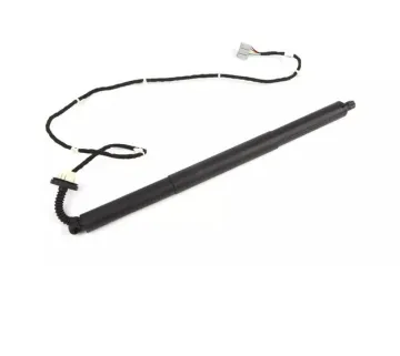 High Quality Tailgate Power Lift Supports for Chevrolet Equinox/Terrain (OE 23289161)