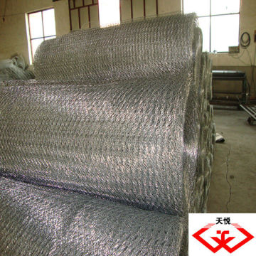 hexagonal wire mesh(tyd)