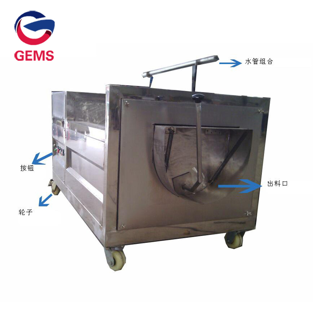 Lotus Washer Cleaner Lotus Root Washing Polishing Machine