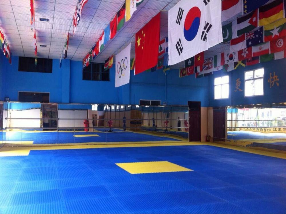 4cm Mma Eva Tatami Taekwondo Mat High Quality 4cm Mma Eva Tatami