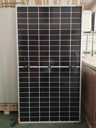 Tongwei TW Bifacial Solar Modules TWMHF-66HD 695W-715W Double Glass PV Panels