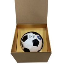 Custom Folding Style Football Scoccer Basketball Volleyball Packaging Box for Gift