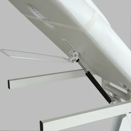 Hot Sale Electric Massage Table for Tattoo, Acupuncture, and Moxibustion