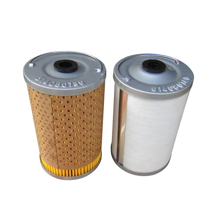 614080739A 614080739 CX0813 UC220 Fuel Filter China