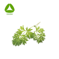 ISO9001 Chinese Medicine Organic Mugwort Leaf Extract