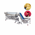 Fully Automatic Root Vegetable Peeling Machine