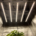 Bar Grow Lights 730W For Indoor Plants Veg
