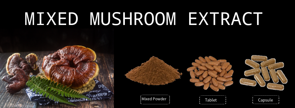 OEM Mushroom Extract