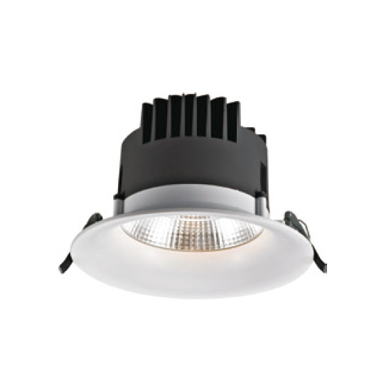 Aluminum Body COB 40W LED Downlight