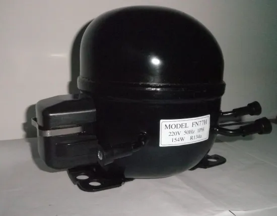 R134A 1pH FN77H Fridge Compressor