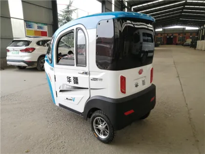 convert to electric car