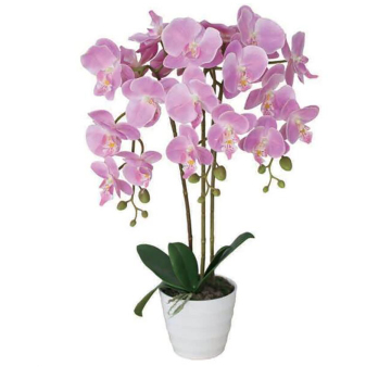 Linwoo Hot Sale Wedding Decoration Pink Artificial Orchid Flowers