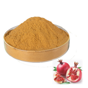 Buy Online Active Ingredients Ellagic Acid Powder