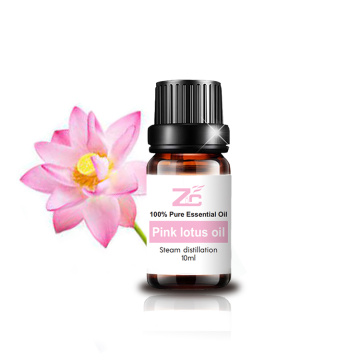 Bulk Pink Lotus Oil at wholesale price