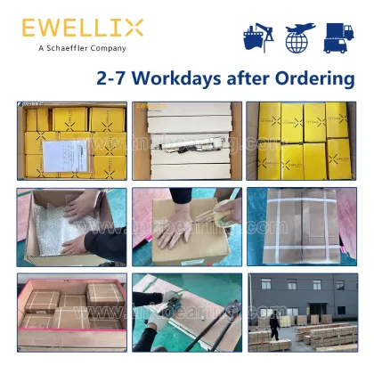 EWELLIX Linear Guides Collection: Types and Specifications