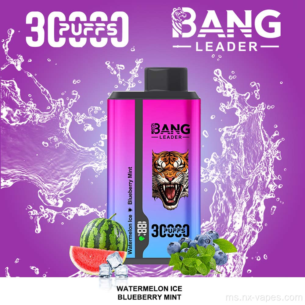 Bang Leader 30000 Dual Flavors Vape Vape Borong