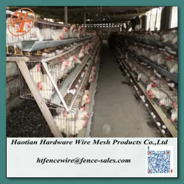 layer poultry farm cages for nigeria/africa