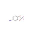 2,2-difluoro-5-aminobenzodiolo intermedio farmaceutico