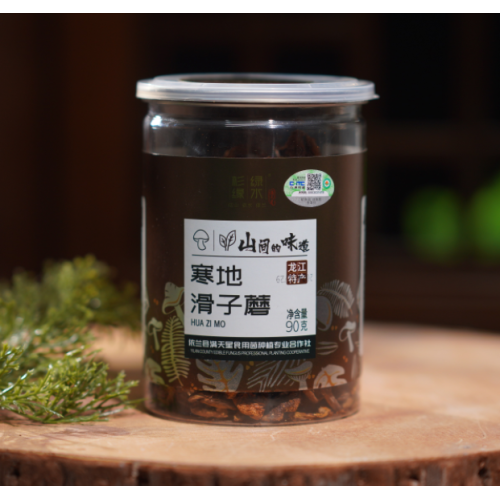 Delicioso cogumelo seco e escorregadio