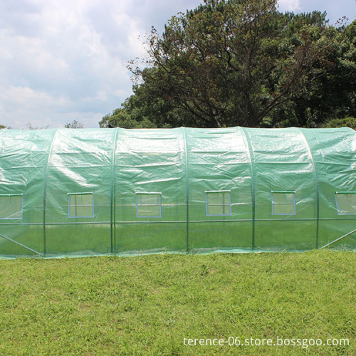 TLSP109 Outdoor Tomato Poly Tunnel Greenhouse 600x300x200cm Low Cost