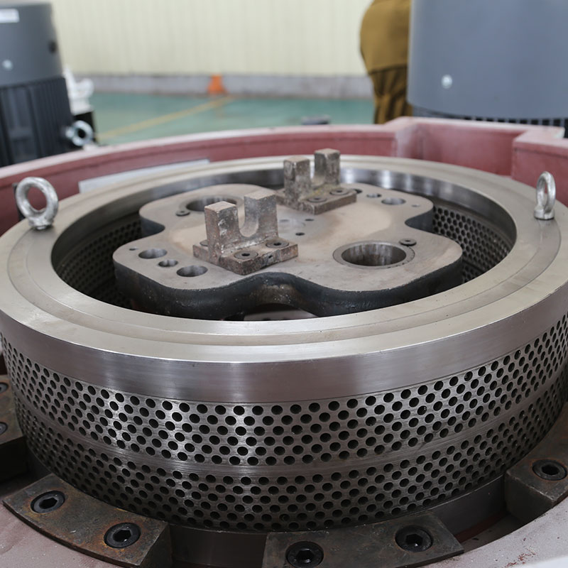 Wood pellet mill ring die