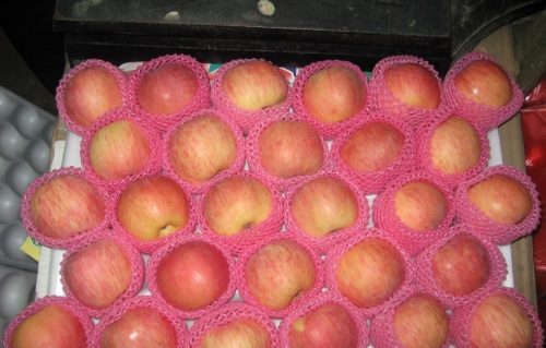 Qualité standard d&#39;exportation de pomme fraîche de Fuji