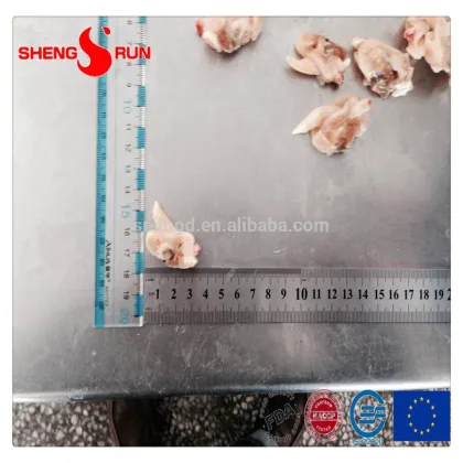 Frozen IQF Surf clam meat gutted