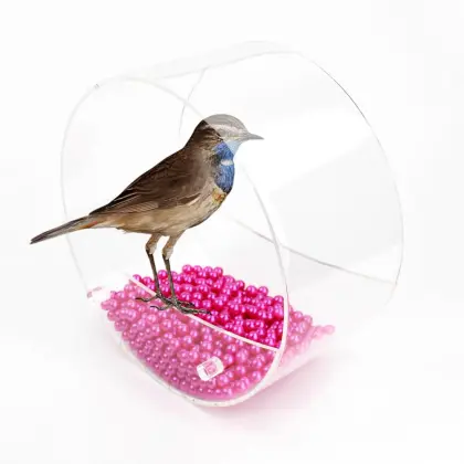 Wholesale Crystal Clear Acrylic Bird feeder