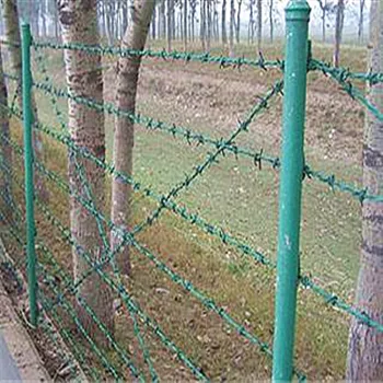 barbed wire fence