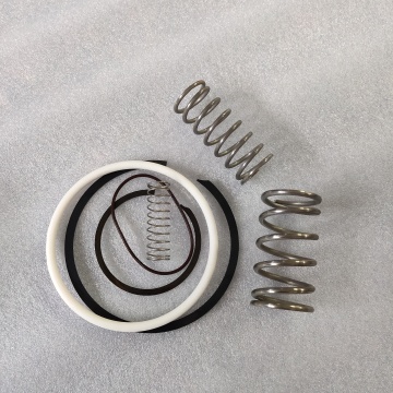Factory Price Intake Valve Kit 250029-249