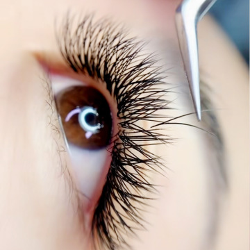 プライベートラベルV字型ラッシュエクステンションマテリアル - 卸売ブラックハンドメイドラッシュ、10トレイ、最高品質の自然の長さ