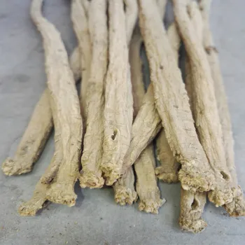 hot sale codonopsis pilosula health tea