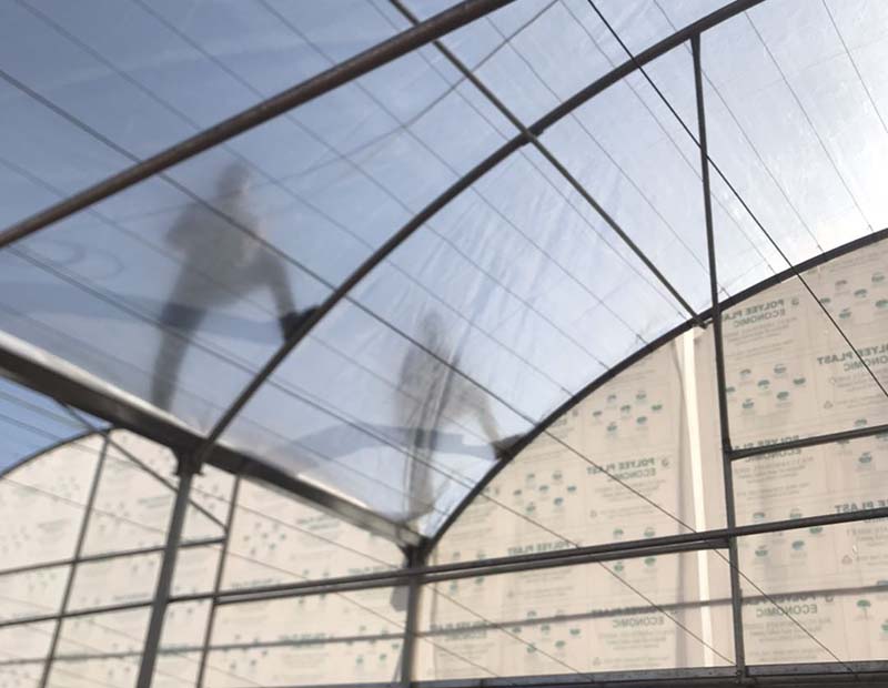 Tunnel greenhouse cover