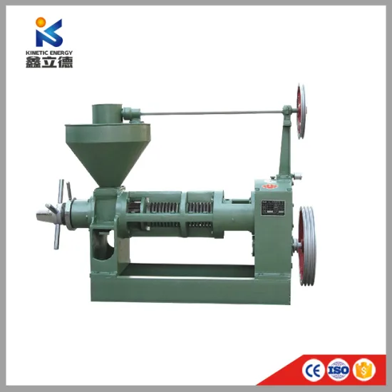 6yl -100 Rosehip Avocado Cold Press Vegetable Oil Extractor Palm Kernel Oil Processing Machine