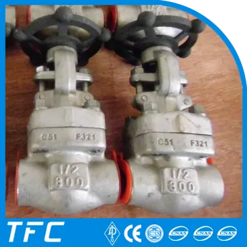rising stem stainless steel gate valves